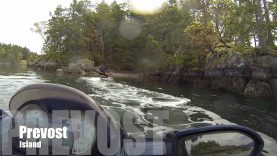 15-4-50 Sea-Doo Island Jet Ski Adventure
