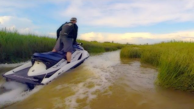 Jet Ski Snaking in the Swamp