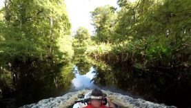 7 Minute Jungle JetSki Ride