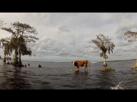 JetSki Orlando – High Speed Twisties