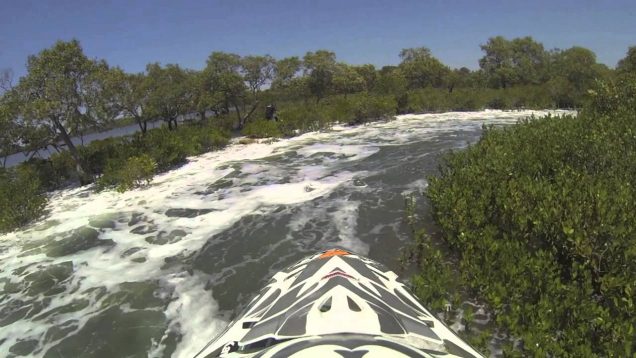 jetski skifari gold coast 2013
