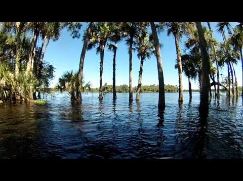 JetSkiing a Flooded St Johns River