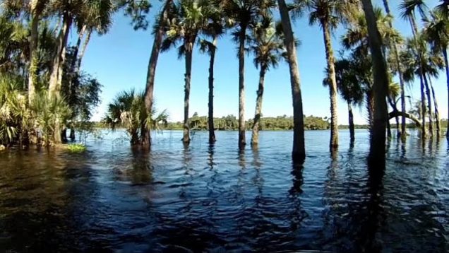 JetSkiing a Flooded St Johns River