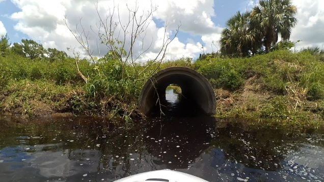 Stick Marsh JetSki Ride