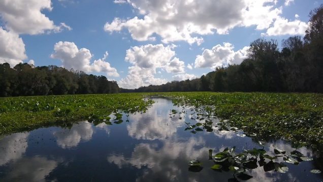 Wekiva River JetSki Ride