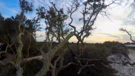 Horn Island Camping Trip