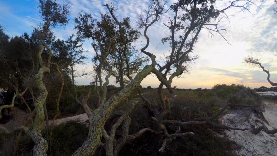 Horn Island Camping Trip