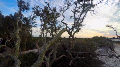 Horn Island Camping Trip