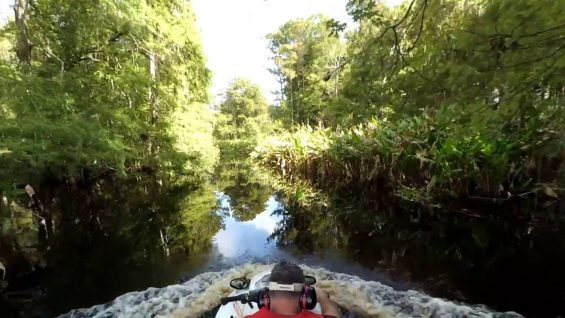 7 Minute Jungle JetSki Ride