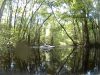Canal off Little Lake Harris