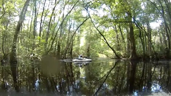Canal off Little Lake Harris