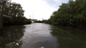 Down South Ride
