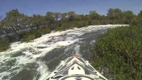 jetski skifari gold coast 2013