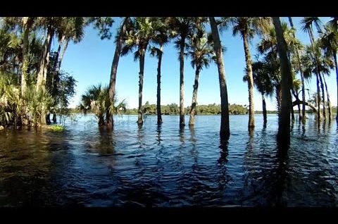 JetSkiing a Flooded St Johns River