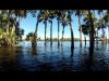 JetSkiing a Flooded St Johns River