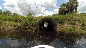 Stick Marsh JetSki Ride