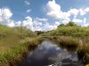 Stick Marsh JetSki Ride
