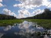 Wekiva River JetSki Ride