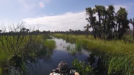 Auto Draft