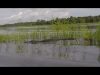 JetSkiing a Flooded Econ River